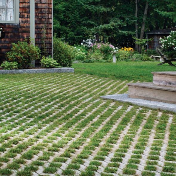 TREND WATCH: 'Entangling' Pavers with Organic Elements for Biophilic ...