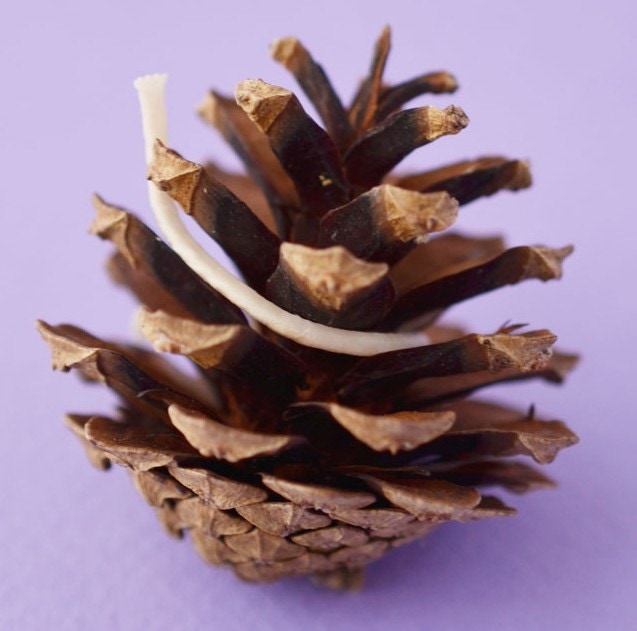 Easy DIY Winter Frosted Pinecones - Lavender Brook Home