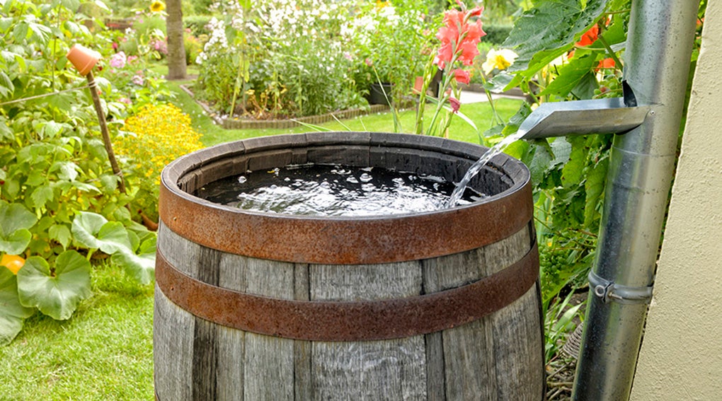 hook up sprinkler to rain barrel